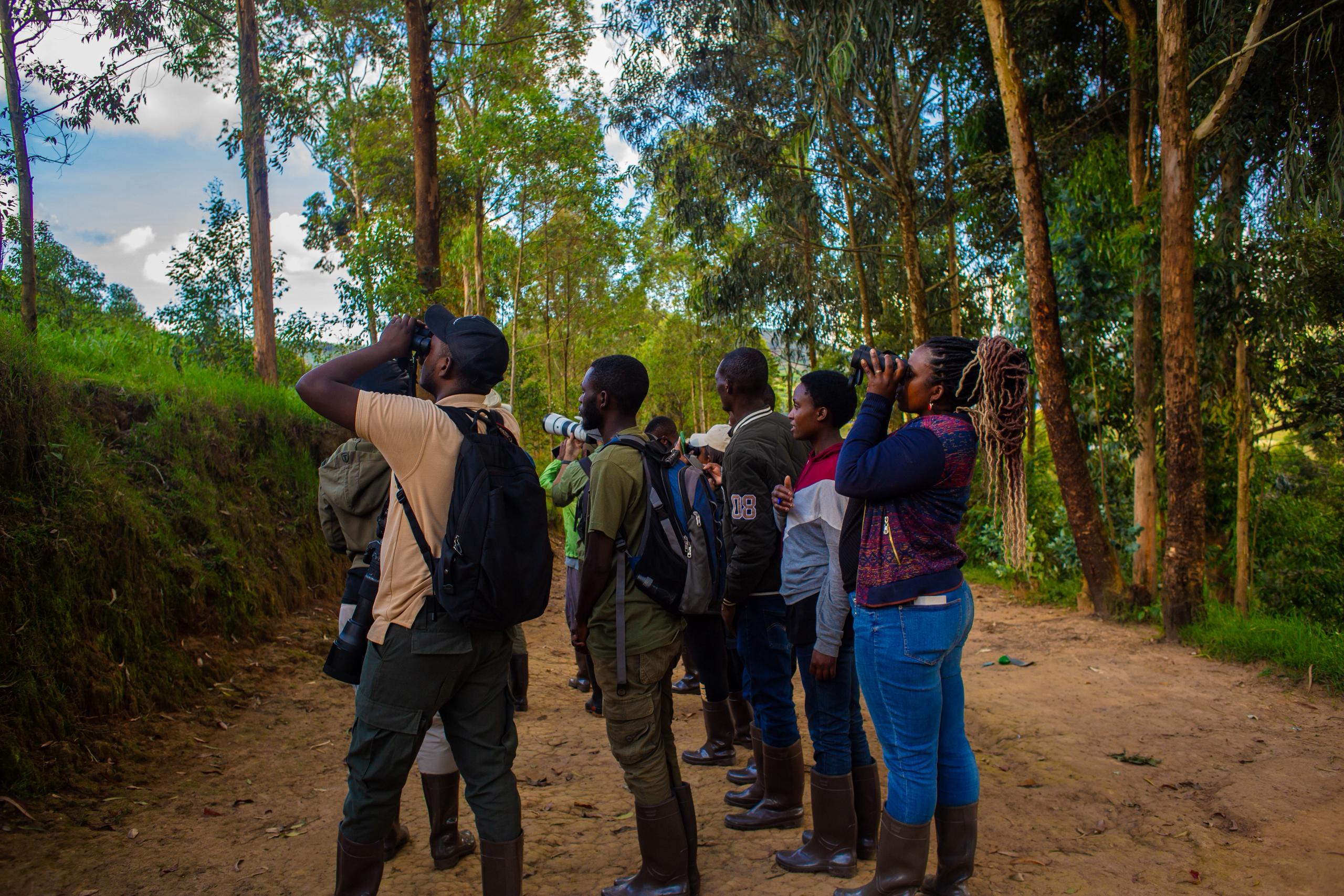 Nyungwe Forest